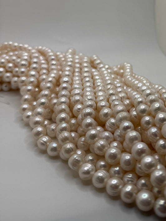 Freshwater Pearls